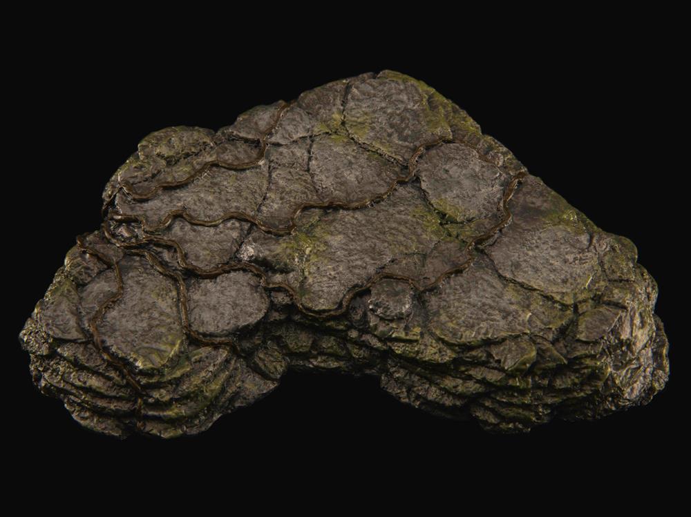 Rebor 1/35 Stegosaurus Armatus Garden