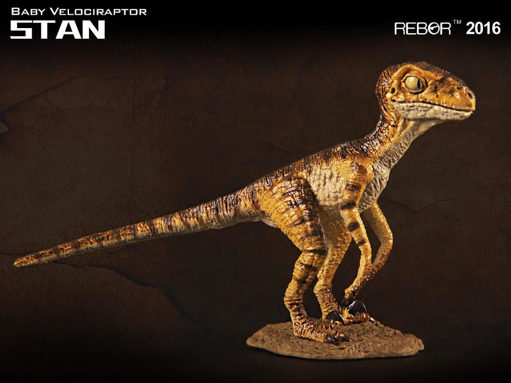 Rebor 1/18 Baby Velociraptor Stan