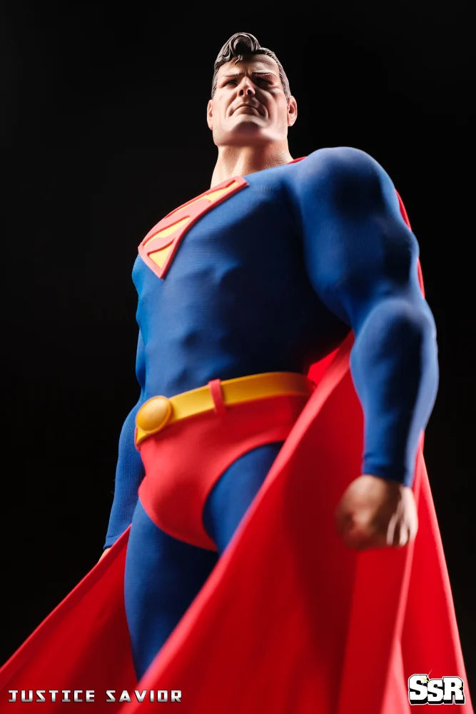 SSR 1/6 SSC-014 DC Justice Savior