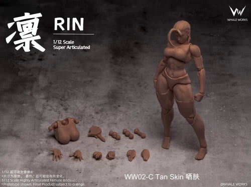 Whaleworks 1/12 Super Movable Female Figure