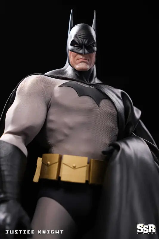 SSR 1/6 SSC-013 DC Justice Knight