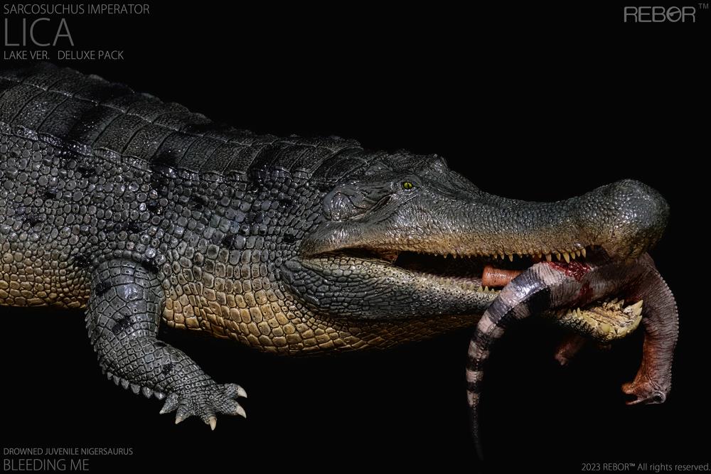 Rebor 1/35 Museum Class Replica - Sarcosuchus imperator "Lica" (Lake Ver.) [Deluxe Pack]