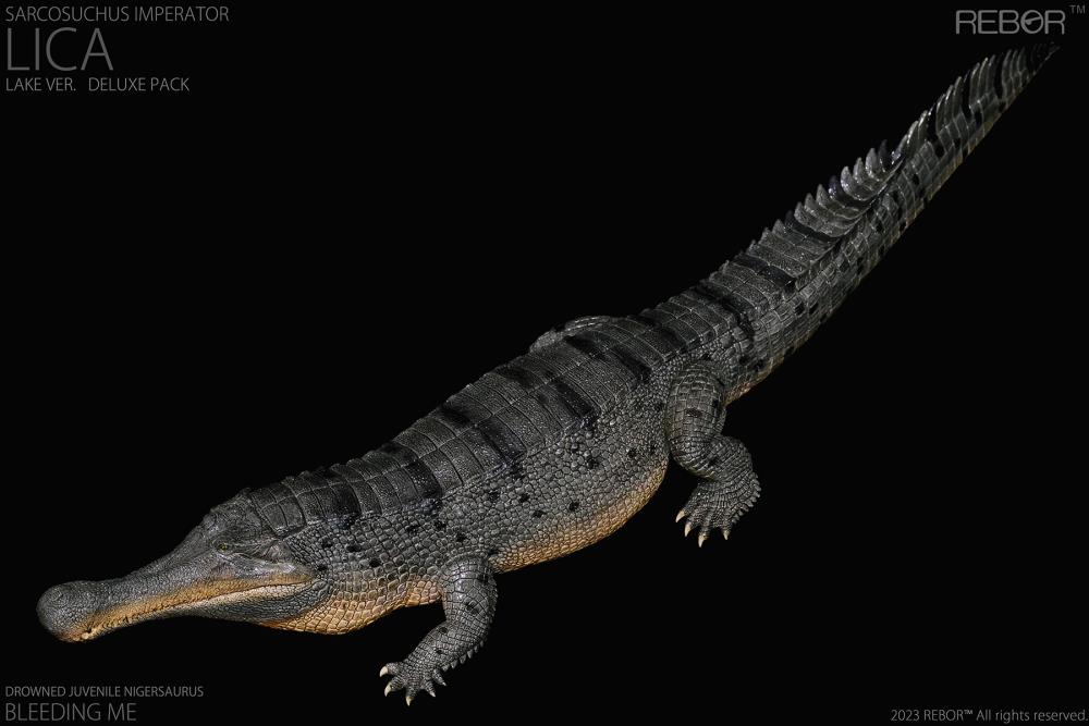 Rebor 1/35 Museum Class Replica - Sarcosuchus imperator "Lica" (Lake Ver.) [Deluxe Pack]