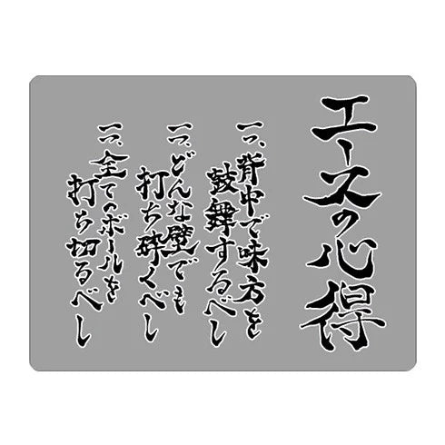 Nendoroid Haikyuu - Shoyo Hinata (The Way of the Ace Version) with Bonus