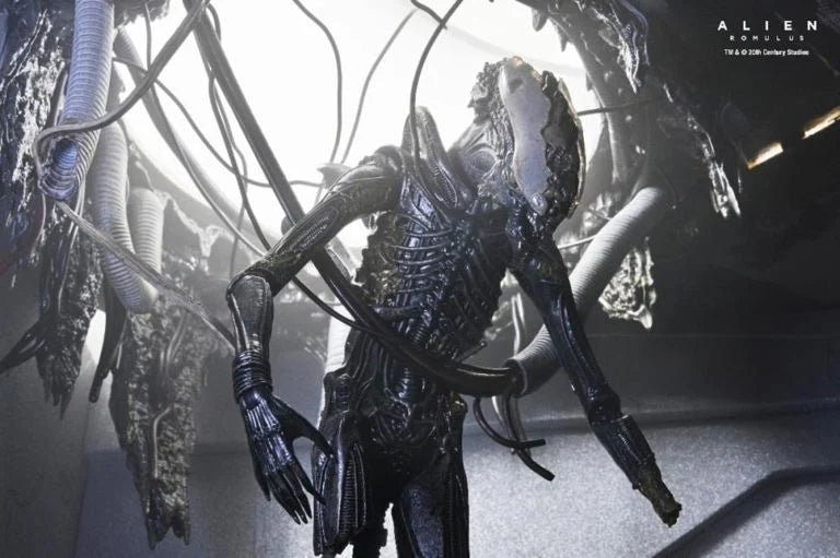 Neca Alien Romulus Suspended Lab Xenomorph XX121 Deluxe Version [Dented Box]