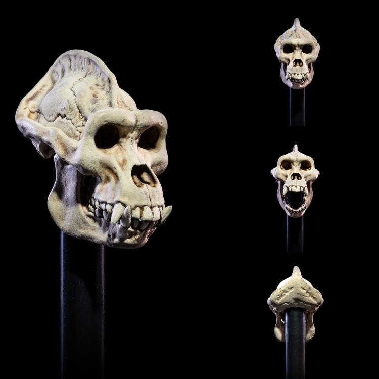 Four Horsemen Mythic Legions All-Stars Undead Heads Pack
