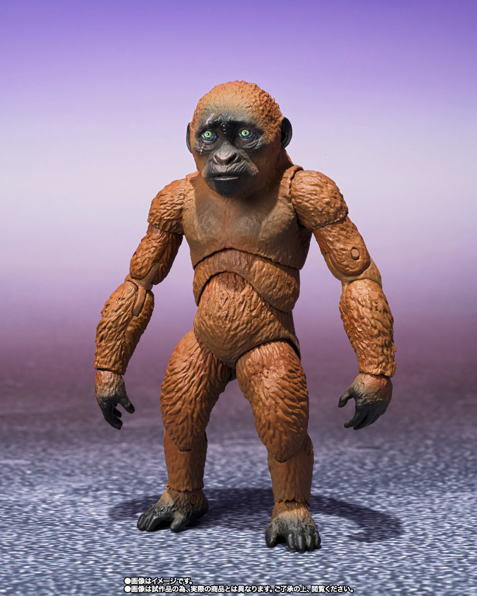 SH Monsterarts Godzilla x Kong The New Empire - Suko & Mothra with Option Parts Set