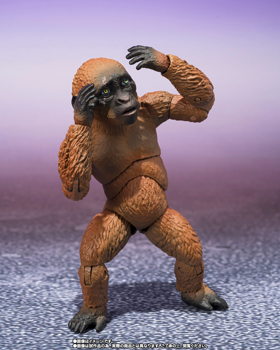 SH Monsterarts Godzilla x Kong The New Empire - Suko & Mothra with Option Parts Set
