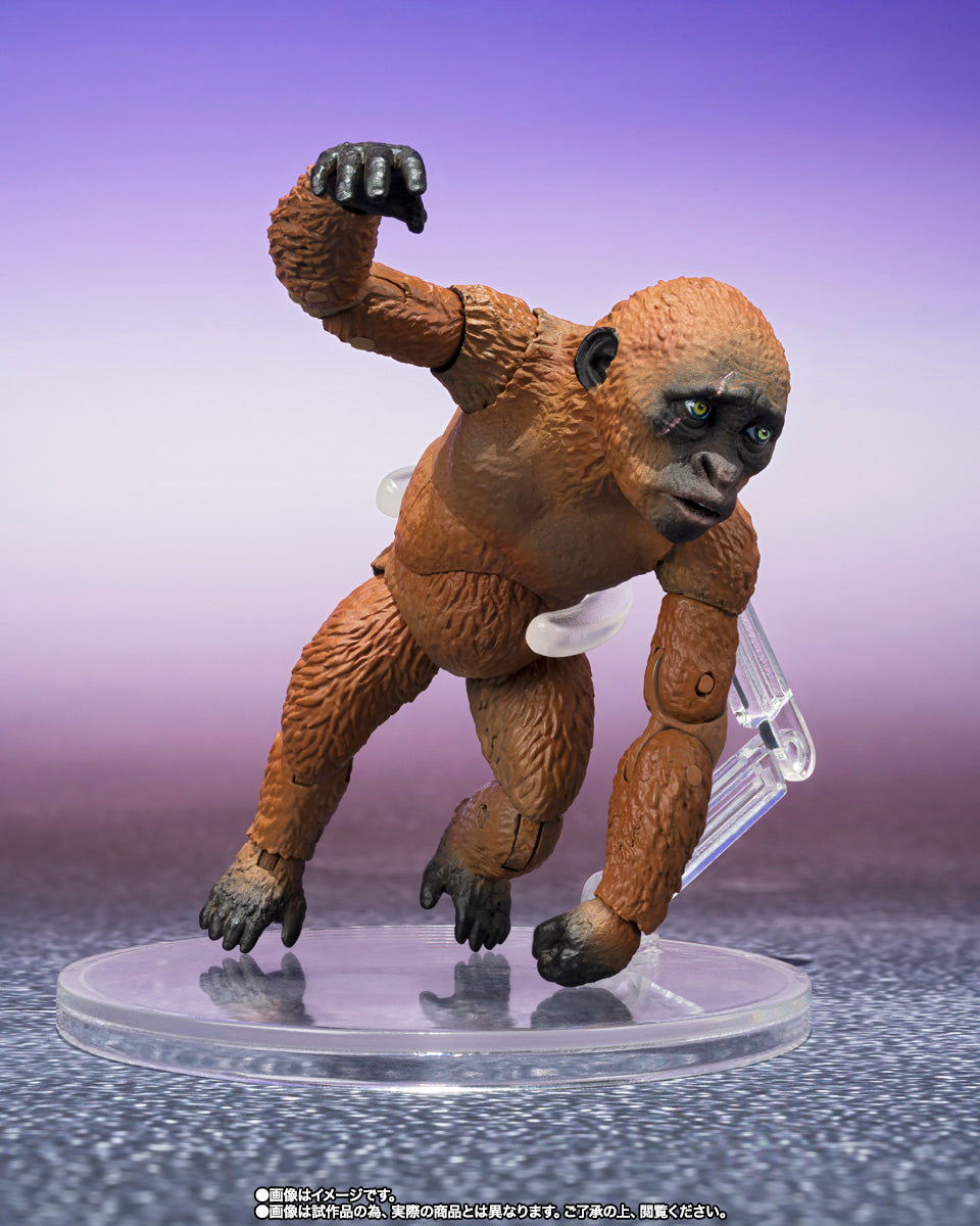 SH Monsterarts Godzilla x Kong The New Empire - Suko & Mothra with Option Parts Set