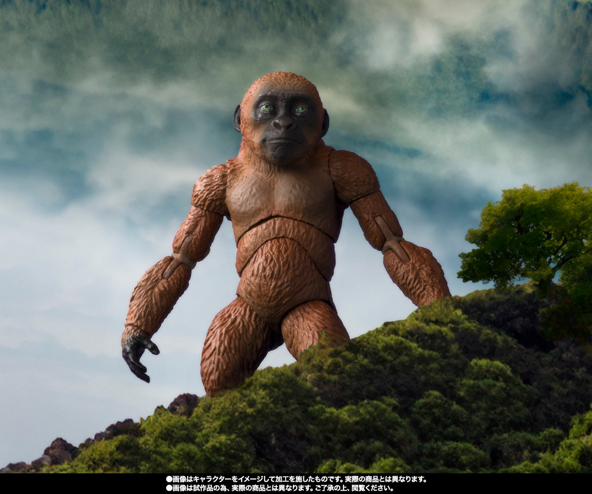 SH Monsterarts Godzilla x Kong The New Empire - Suko & Mothra with Option Parts Set