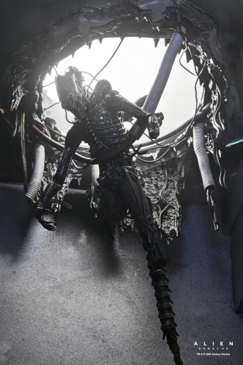 Neca Alien Romulus Suspended Lab Xenomorph XX121 Deluxe Version [Dented Box]