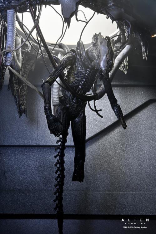 Neca Alien Romulus Suspended Lab Xenomorph XX121 Deluxe Version [Dented Box]