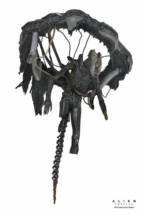 Neca Alien Romulus Suspended Lab Xenomorph XX121 Deluxe Version [Dented Box]