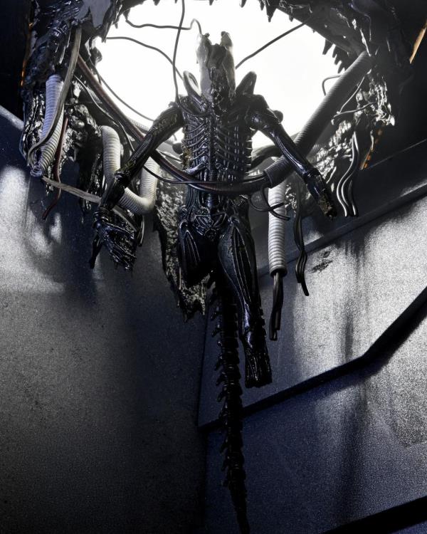 Neca Alien Romulus Suspended Lab Xenomorph XX121 Deluxe Version [Dented Box]