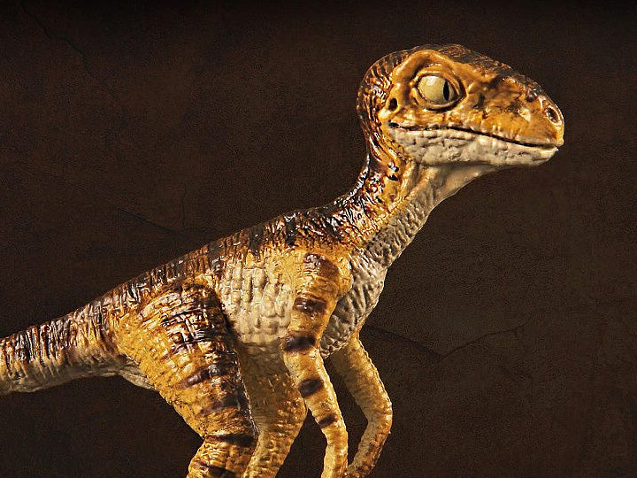 Rebor 1/18 Baby Velociraptor Stan
