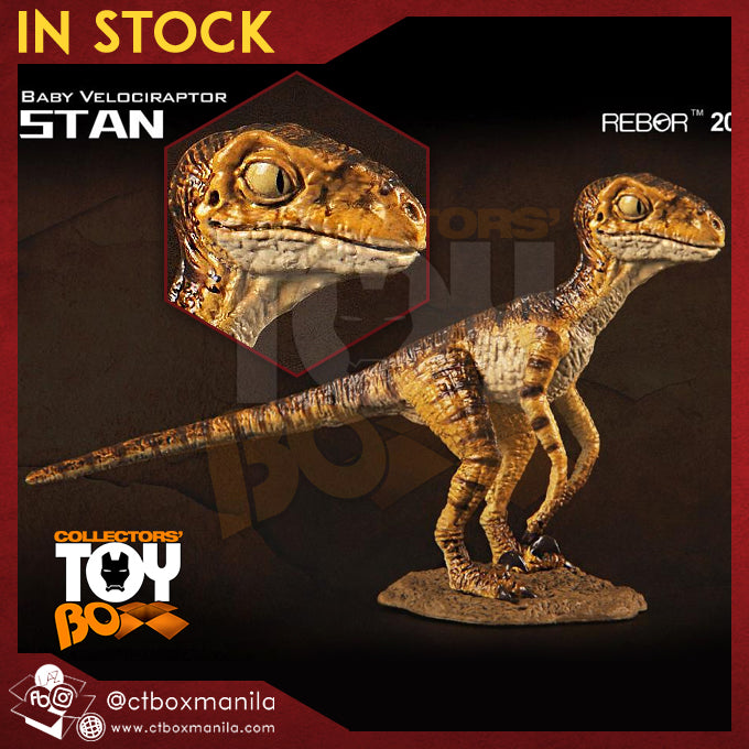 Rebor 1/18 Baby Velociraptor Stan