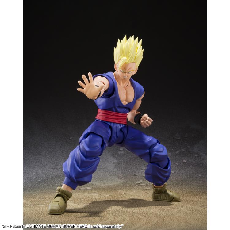 SH Figuarts Dragon Ball Gamma 1