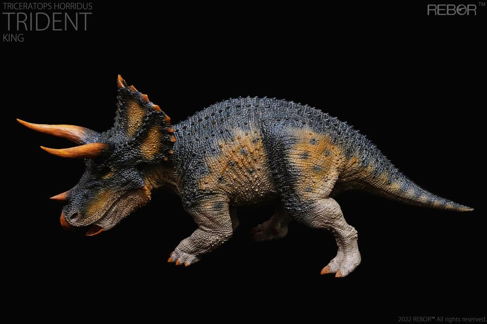 REBOR 1/35 Alpha Male Triceratops horridus Trident (King Ver.)